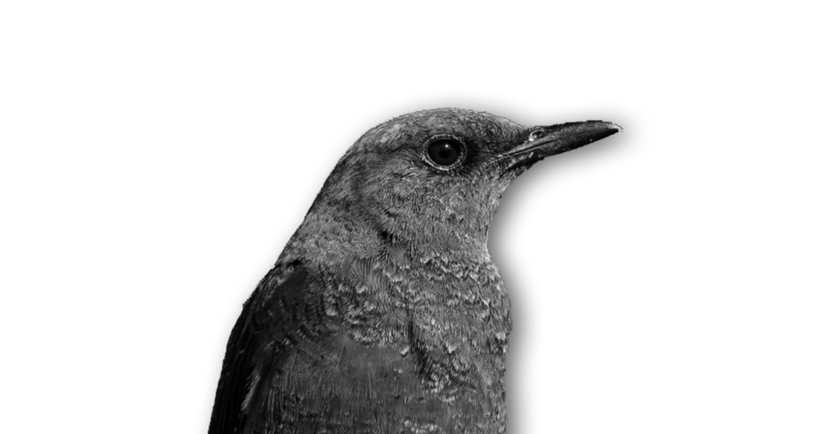 生物多様性って何だろう