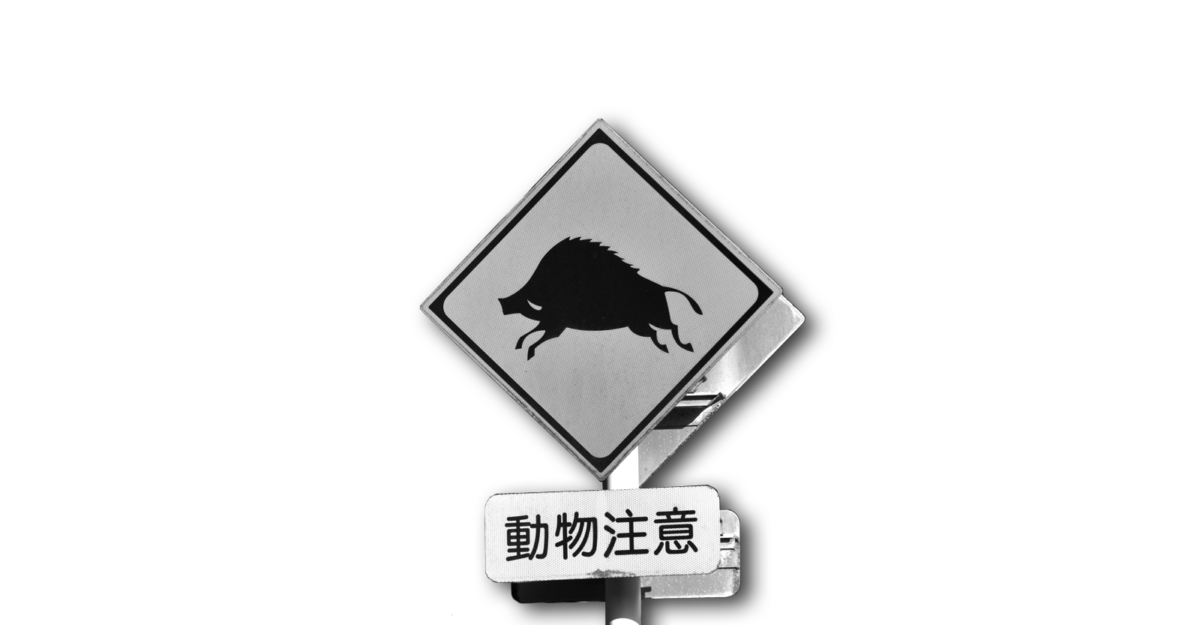 なぜ野生動物が人里に来るのか